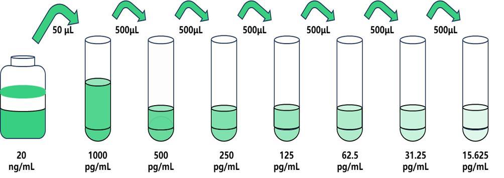 15.625~1000.jpg 15.625~1000.jpg