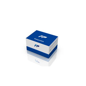 乙型脑炎(乙脑)病毒探针法qRT-PCR试剂盒(不含内参）