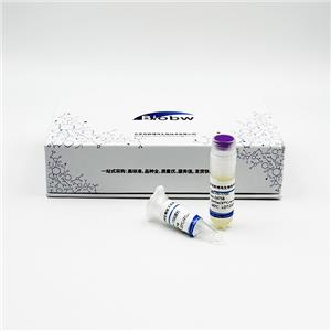 Ferruginibacter Alkalilentus