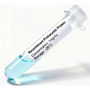 原核大肠杆菌重组蛋白