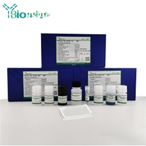 人Gasdermin蛋白(GSDMD)ELISA试剂盒 YB72897Hu