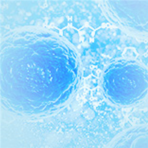 CUSABIO  重组蛋白表达服务 定制服务