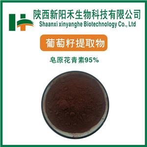 葡萄籽提取物    原花青素     葡萄籽多酚