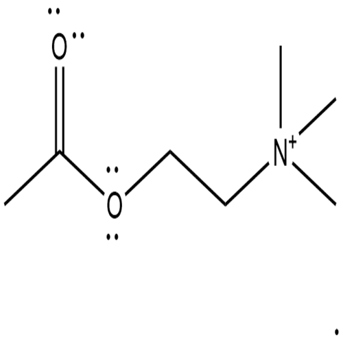 c7h16no2+ lewis structure
